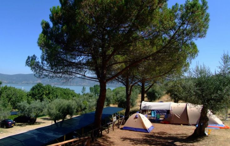 Camping surrounded by nature, with tents and a lake view, perfect for families and relaxation.