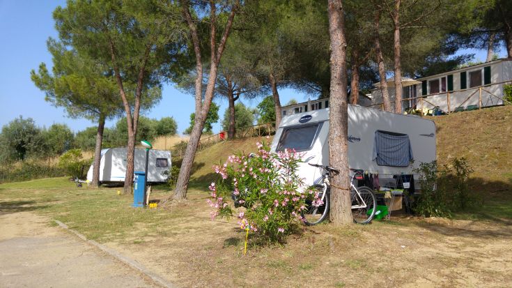 Two campers located in a green area, surrounded by trees and plants. A relaxing spot for campers.