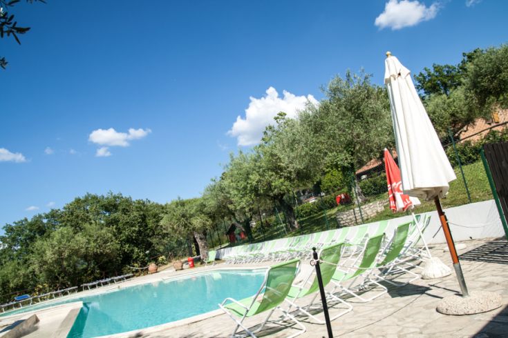 Large pool surrounded by greenery, olive trees, and umbrellas, ideal for a relaxing day outdoors.