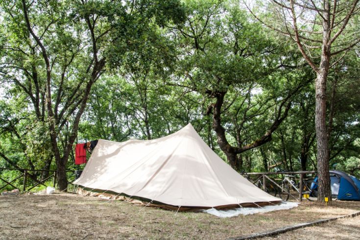 A tent situated in a green area, surrounded by trees in a peaceful natural setting.