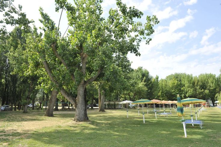Une zone de détente avec de grands arbres et des parasols, idéale pour se relaxer au bord du lac.