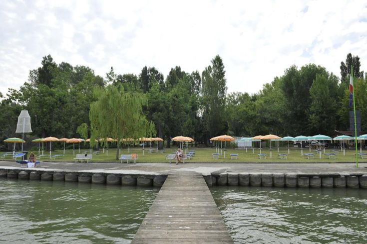 Une scène paisible au bord du lac avec des transats et des parasols entourés d'arbres verdoyants.