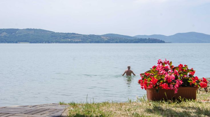 A man relaxes in the lake, surrounded by colorful seasonal flowers.