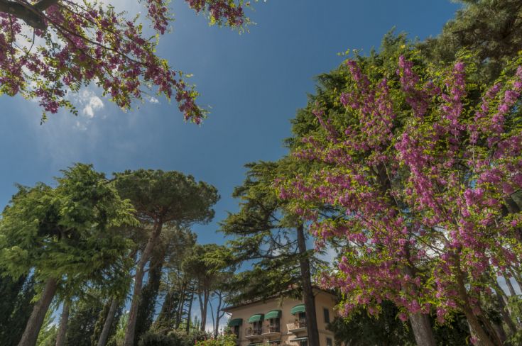 A view of a blooming garden with trees, next to an elegant building under a clear sky.