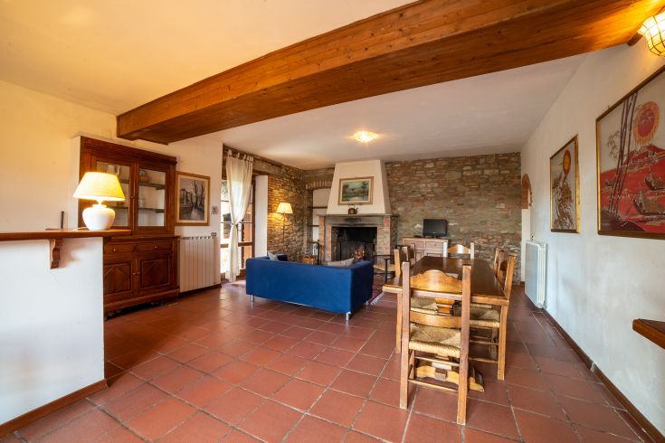 Accogliente soggiorno con camino, arredato con elementi semplici e dettagli rustici.