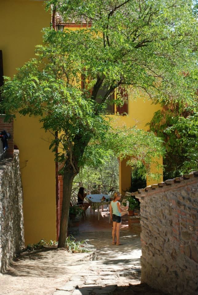 Una tranquilla strada che porta a un'abitazione circondata da alberi e natura.