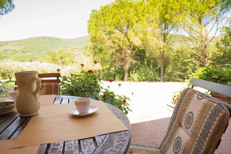 Un tavolo all'aperto circondato da alberi, ideale per una colazione tranquilla nella natura.