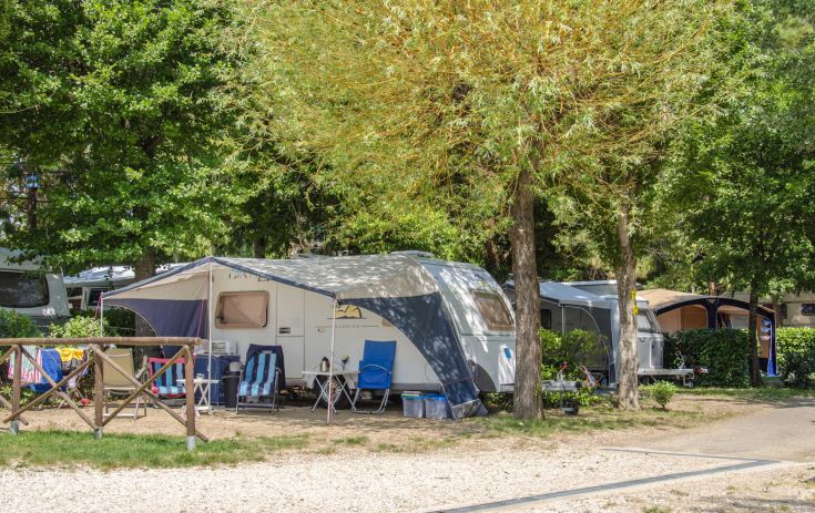 A campsite surrounded by trees, with equipped pitches just steps away from the lake.