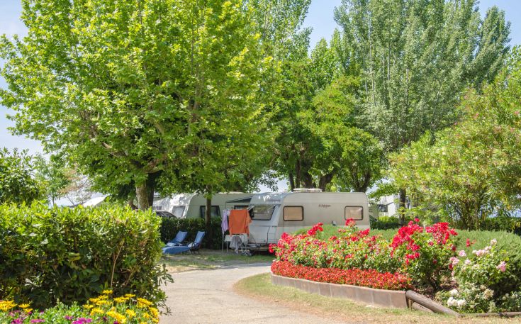 Campsite surrounded by nature with equipped spaces for tents and caravans. Perfect for a peaceful break.