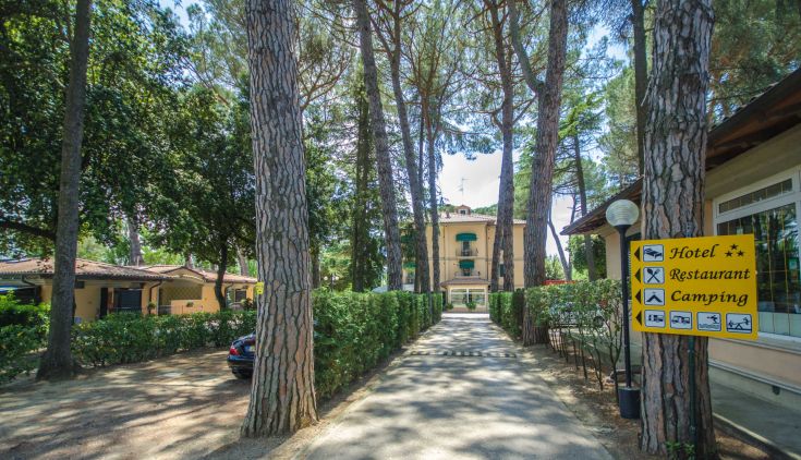 A peaceful tree-lined road leads to a campsite and restaurant surrounded by nature.
