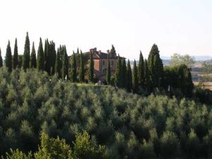 Un casale immerso in un ambiente rurale, circondato da ulivi e cipressi, con una vista tranquilla sulla campagna circostante.