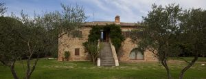 Un'abitazione in pietra, immersa in un giardino di ulivi, con una scala d'ingresso semplice.
