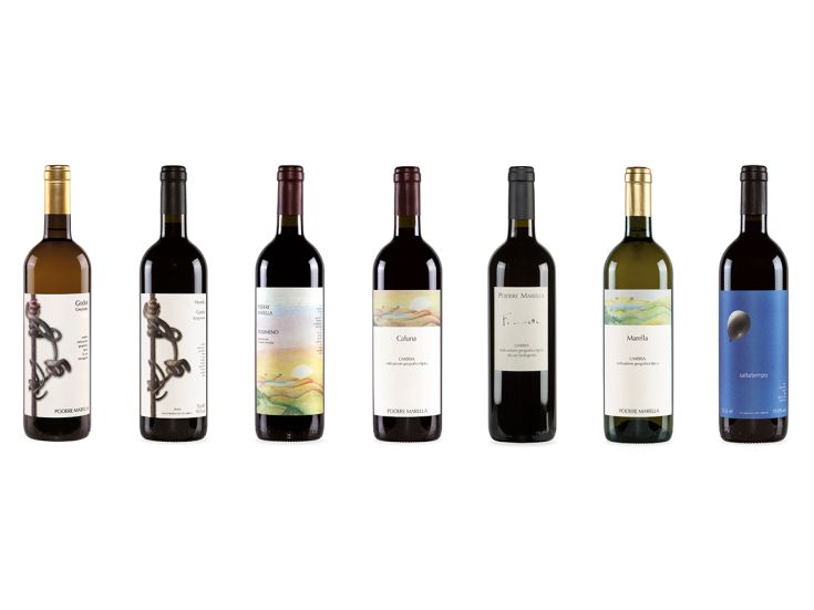 Una selezione di vini con etichette dalla grafica semplice e dai colori vivaci.