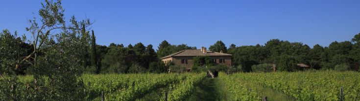 Un panorama di una villa circondata da vigneti e alberi di ulivo in un contesto naturale.