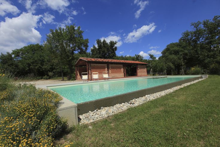Una piscina circondata da un'accogliente vegetazione, perfetta per momenti di relax e divertimento all'aperto.