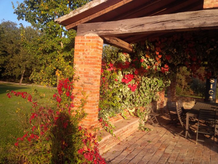 Un portico semplice circondato da piante verdi e fiori variopinti, che crea un'atmosfera tranquilla.