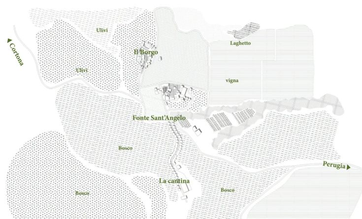 Mappa dettagliata di un'azienda agricola situata su un rilievo collinare, con aree coltivate e strade circostanti.