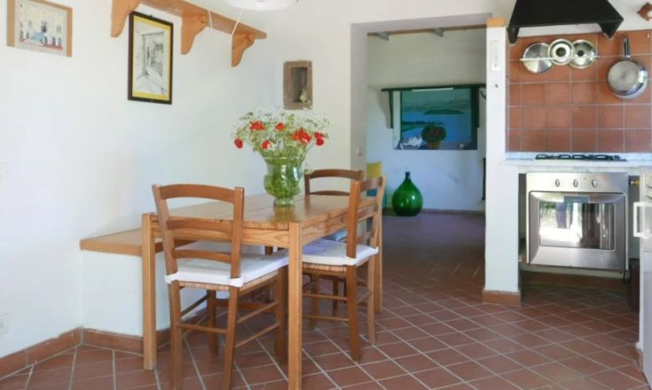 Cucina semplice con tavolo di legno e piante ornamentali. Ambiente rustico e ben illuminato.