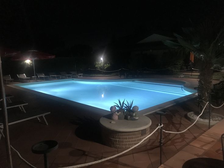 Une piscine illuminée dans l'obscurité, entourée de plantes et de chaises longues, créant une ambiance relaxante.