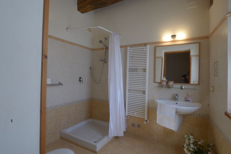 Gemütliches Bad mit Dusche und Spiegel, ideal für einen entspannten Moment.