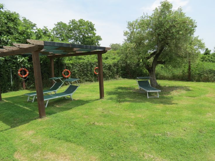 Ein ruhiger Bereich mit Liegestühlen und einem Olivenbaum, umgeben von der Vegetation eines Agritourismus.