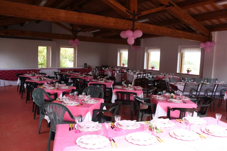 Eine lebhafte Atmosphäre mit rosa Tischdecken und Dekorationen, die perfekt für eine Feier sind.