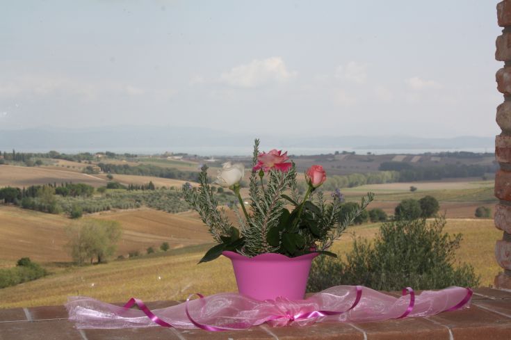 Blumen in einer rosa Vase mit Blick auf sanfte umbrische Hügel. Ein Ort der Ruhe und natürlichen Schönheit.