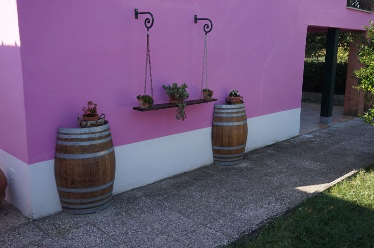 Un angolo con barili e fiori decorativi su una parete rosa, creando un'atmosfera accogliente.