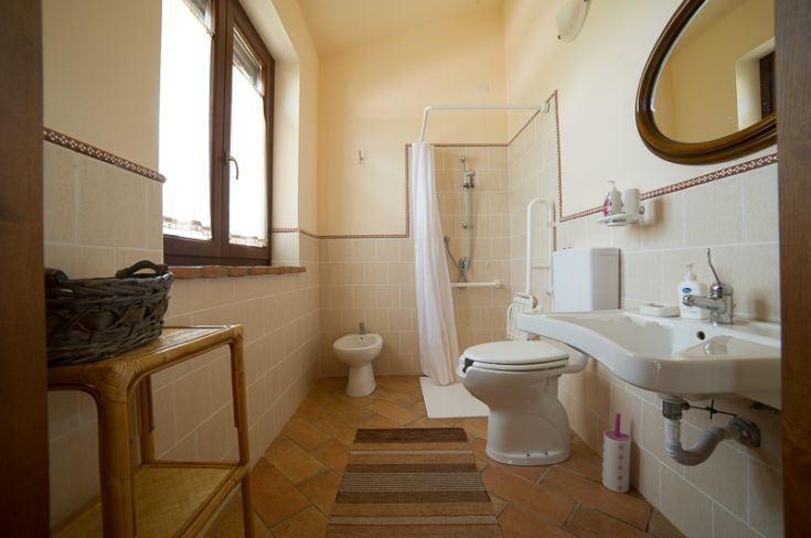 Bagno ben illuminato, dotato di doccia, servizi e arredamenti semplici.