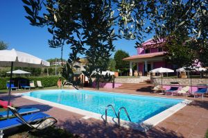 Un agriturismo con piscina situato nella campagna umbra, circondato da uliveti e dolci colline.