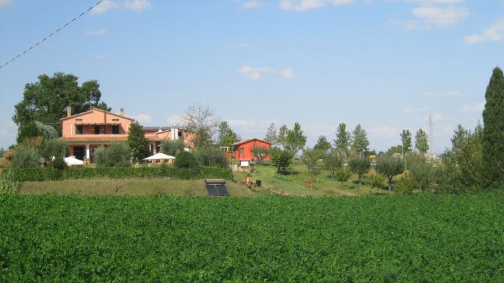 Un agriturismo circondato da uliveti in Umbria, perfetto per escursioni e momenti di relax. Accoglienza calda e comfort.