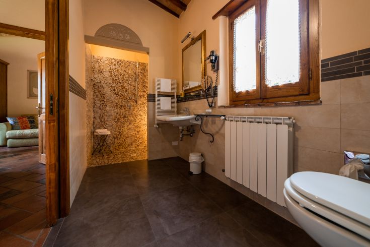 Bagno con doccia a mosaico e finiture moderne. Ambiente luminoso e confortevole.