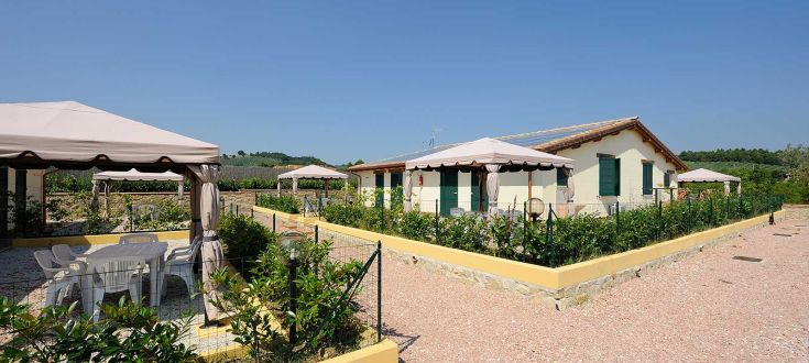 Un salon extérieur dans un cadre paisible, entouré de verdure.