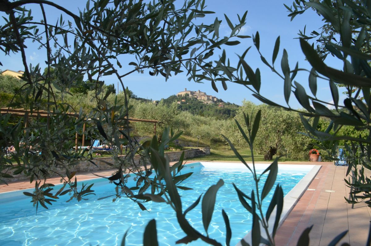 Scena rilassante di una piscina incastonata tra gli olivi e dolci colline verdi.