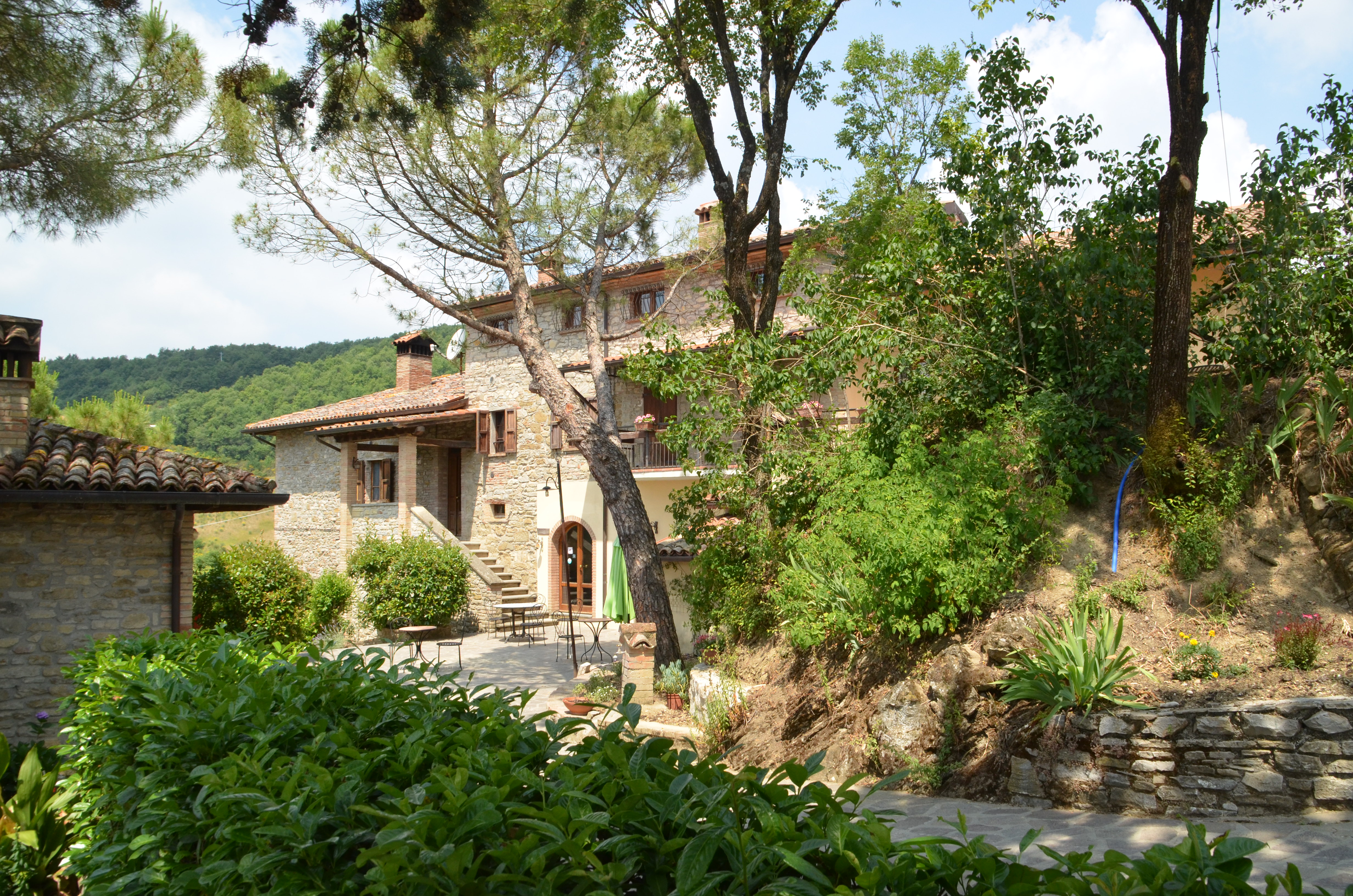 Una casa in pietra circondata da alberi e vegetazione, perfetta per un soggiorno tranquillo in campagna.