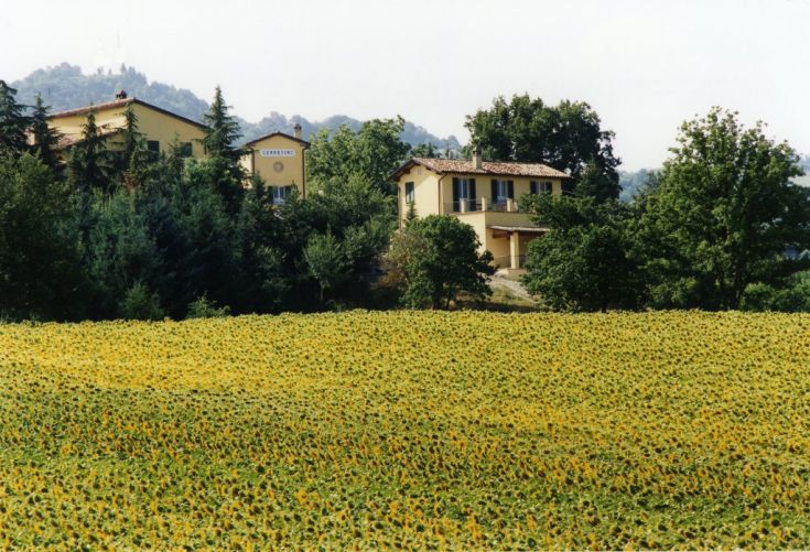 A farmhouse on a hill surrounded by sunflowers, perfect for relaxing and savoring local dishes.