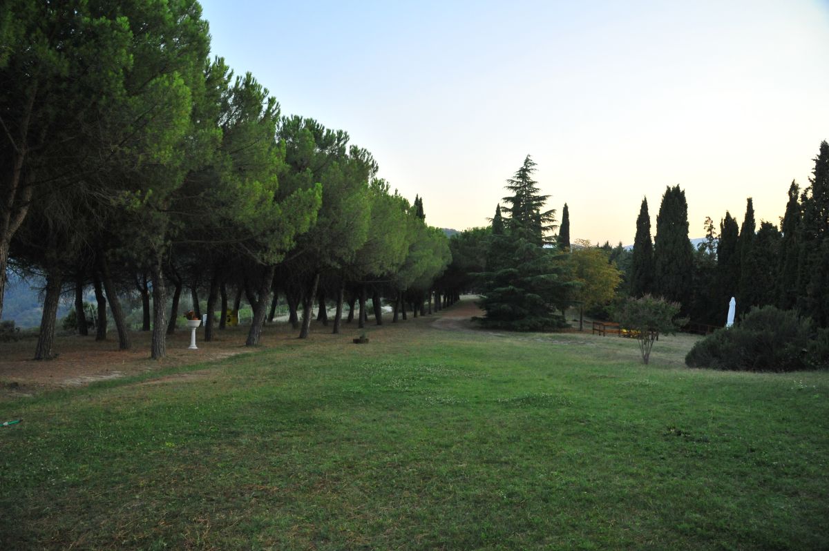 A serene panorama of a green area with trees and paths winding through the Umbrian countryside.