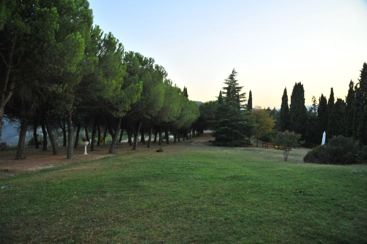 Panorama tranquillo di un'area verde, con alberi e sentieri che attraversano la campagna umbra.