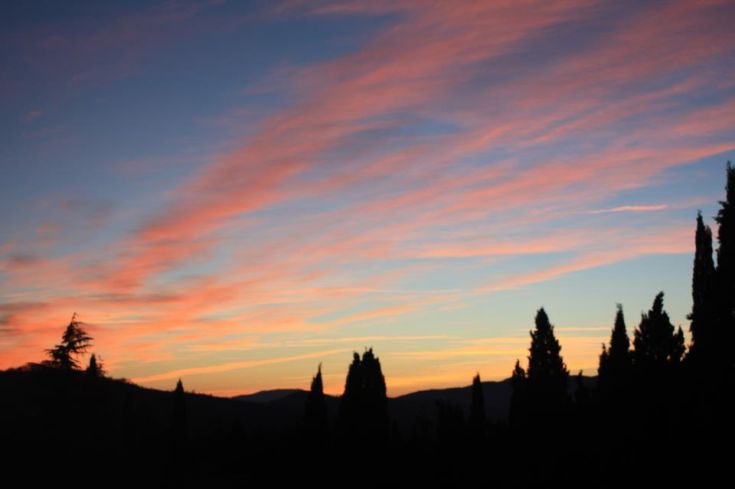 Tramonto su un paesaggio naturale con alberi scuri in silhouette e un cielo sfumato di toni arancioni e blu.