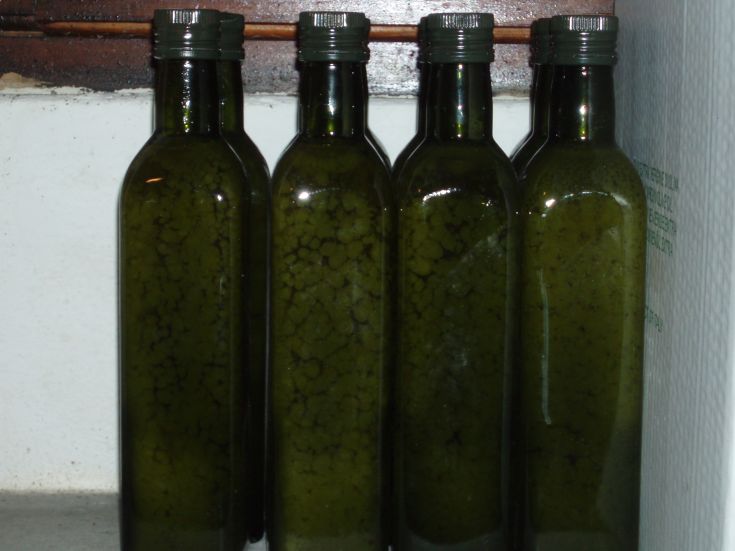 Quattro bottiglie di vetro scuro, contenenti olio verde, disposte ordinatamente su uno scaffale in legno.