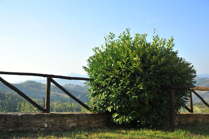 Una vasta area erbosa si estende su un paesaggio collinare, con una semplice recinzione in legno.
