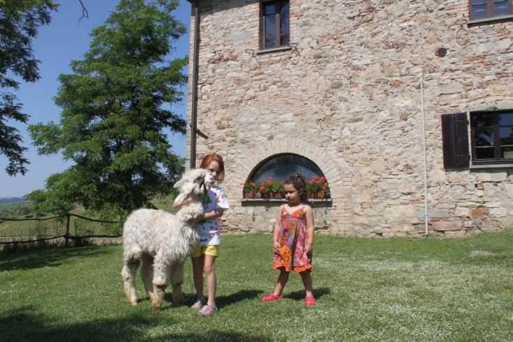 Two girls beside an alpaca at a stone farmhouse surrounded by greenery.