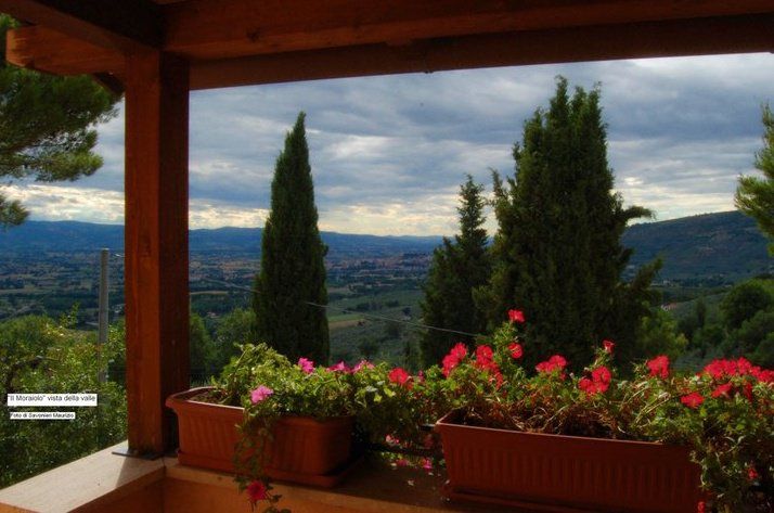 Scène dans la zone verte d'un agritourisme en Ombrie, avec des fleurs et des collines dans le paysage.