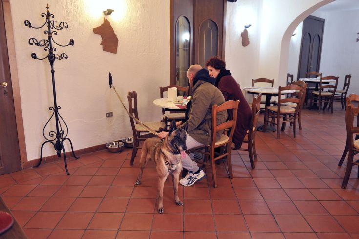 Ein ruhiger Moment in einer Bar, wo ein Paar ein Getränk genießt und ihr Hund daneben sitzt.