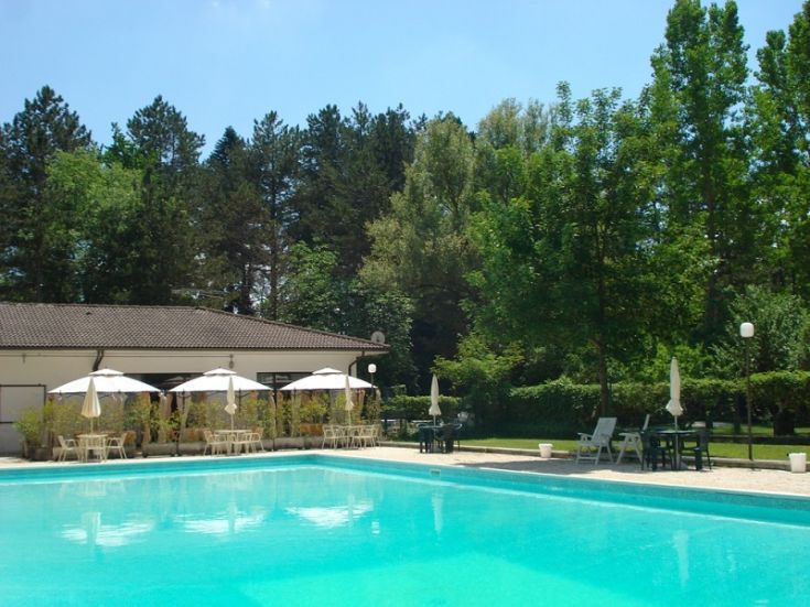 A pool surrounded by greenery, with trees, sun loungers, and umbrellas for relaxing moments.