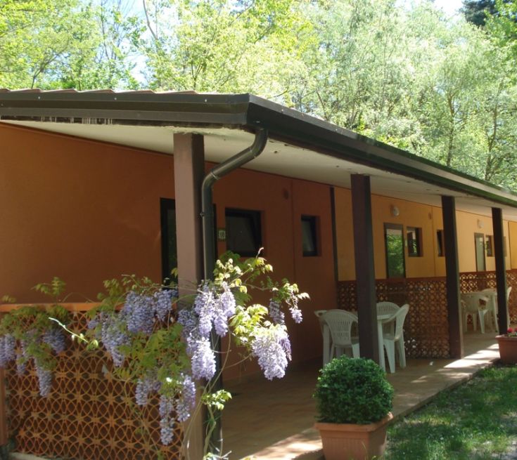 Bungalow surrounded by greenery, trees, and plants, perfect for those seeking tranquility.