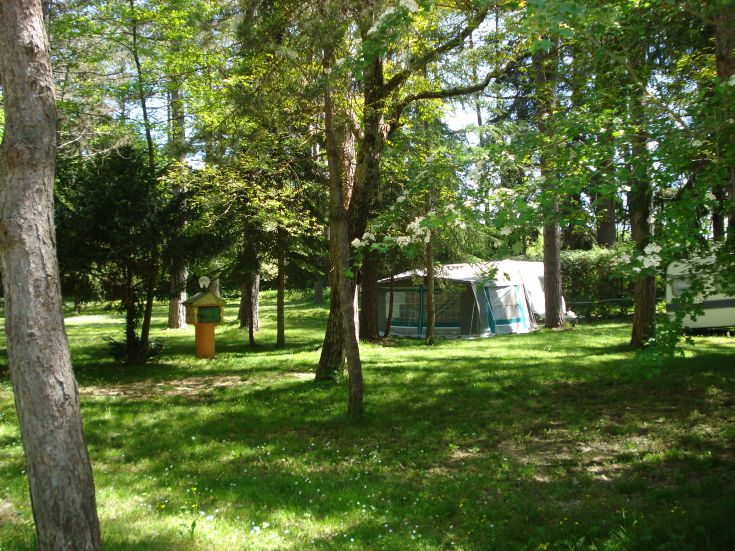 A serene camping area surrounded by trees and green vegetation, with tents arranged neatly.