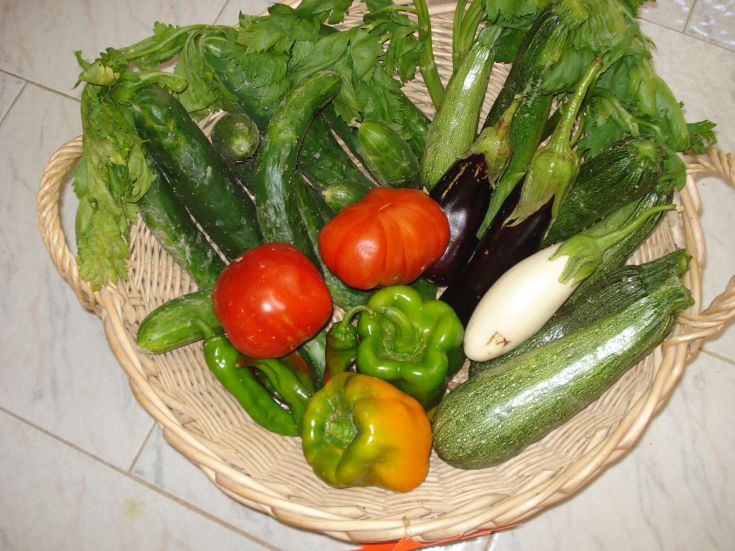 A basket filled with fresh vegetables including zucchini, tomatoes, bell peppers, and eggplants.
