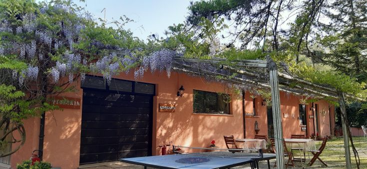 A green building surrounded by greenery, with abundant wisteria blooming. A quiet place for relaxation.