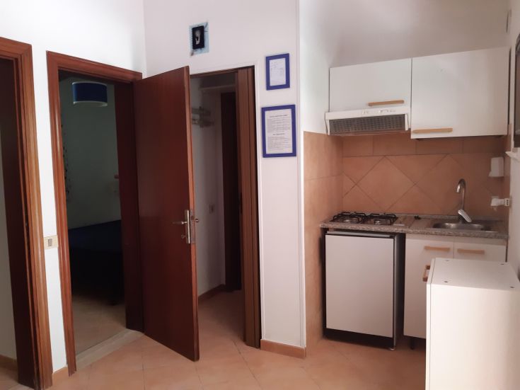 A cozy living room with a well-organized kitchen and a bright entrance.